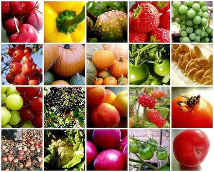The Wonders Of Vegetarian Food